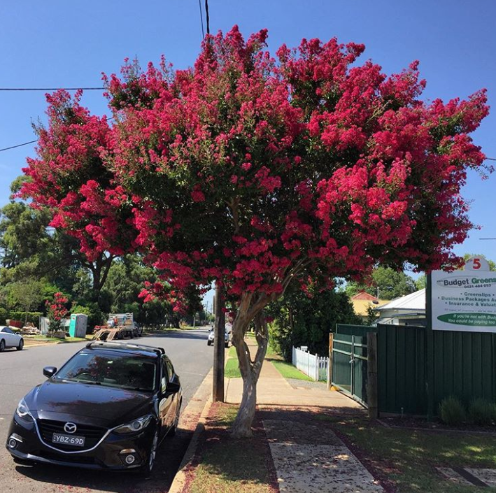 Ảnh: BrightSide Ảnh: BrightSide