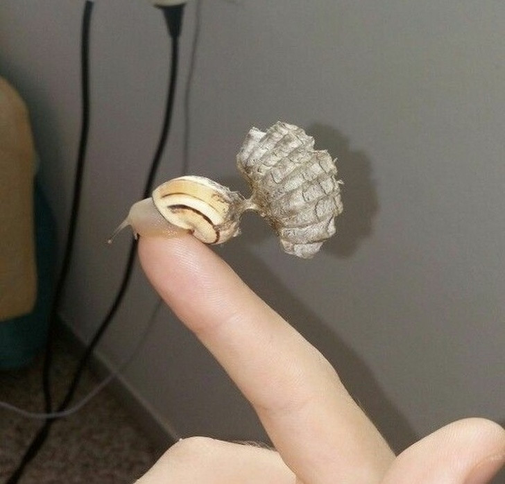 Ảnh: BrightSide Ảnh: BrightSide