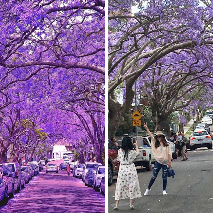 Ảnh: BrightSide Ảnh: BrightSide