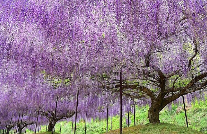 Ảnh: BrightSide Ảnh: BrightSide