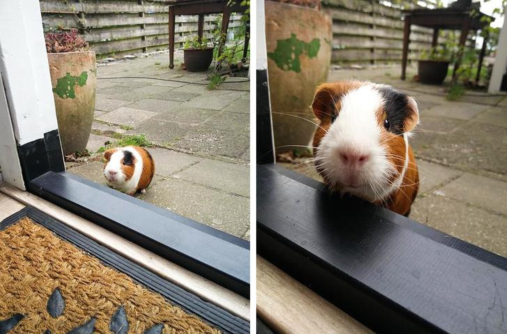 Ảnh: BrightSide Ảnh: BrightSide