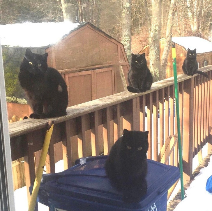 Ảnh: BrightSide Ảnh: BrightSide