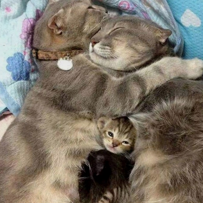 Ảnh: BrightSide Ảnh: BrightSide