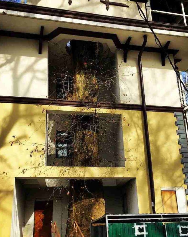 Ảnh: BrightSide Ảnh: BrightSide