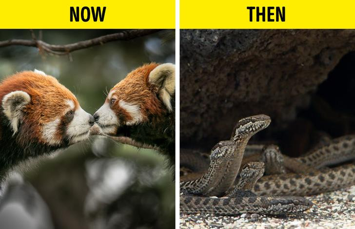 Ảnh: BrightSide Ảnh: BrightSide