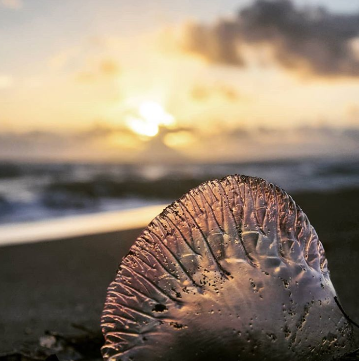 Ảnh: BrightSide Ảnh: BrightSide