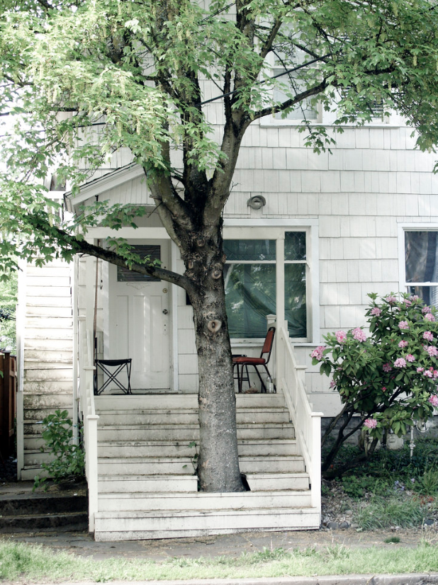 Ảnh: BrightSide Ảnh: BrightSide