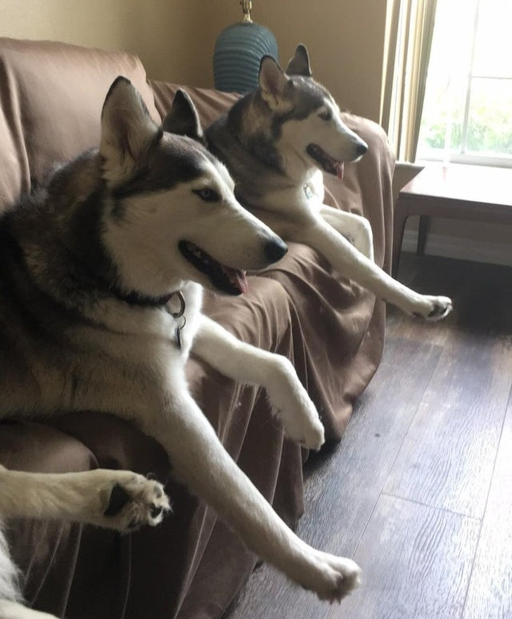 Ảnh: BrightSide Ảnh: BrightSide