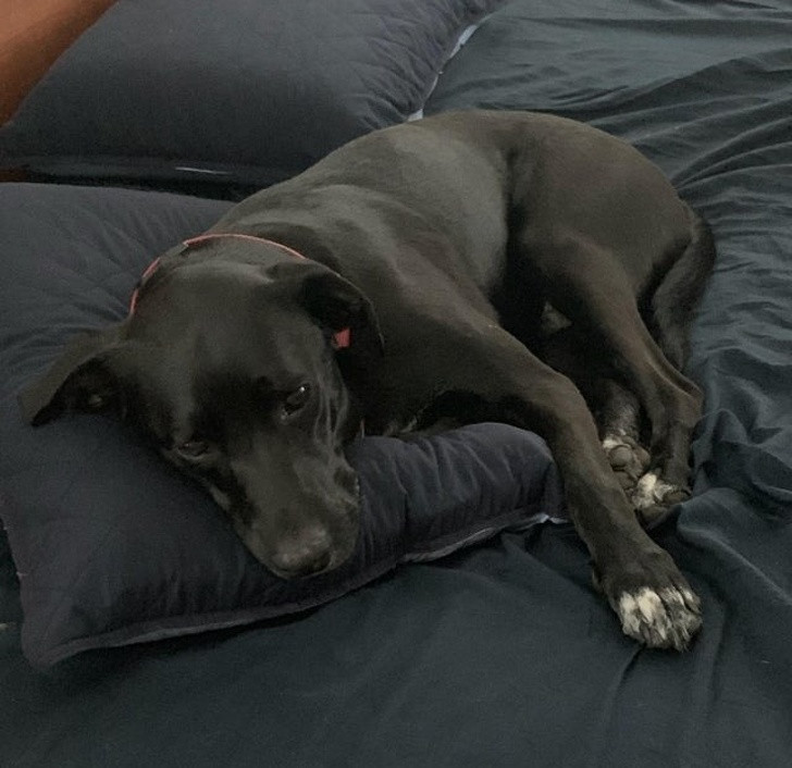 Ảnh: BrightSide Ảnh: BrightSide