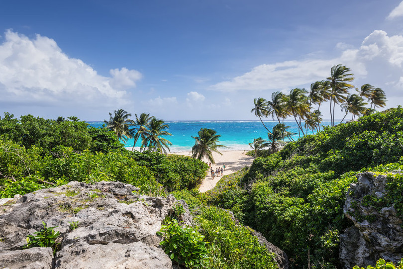 Ảnh: This Is Insider. Ảnh: This Is Insider.