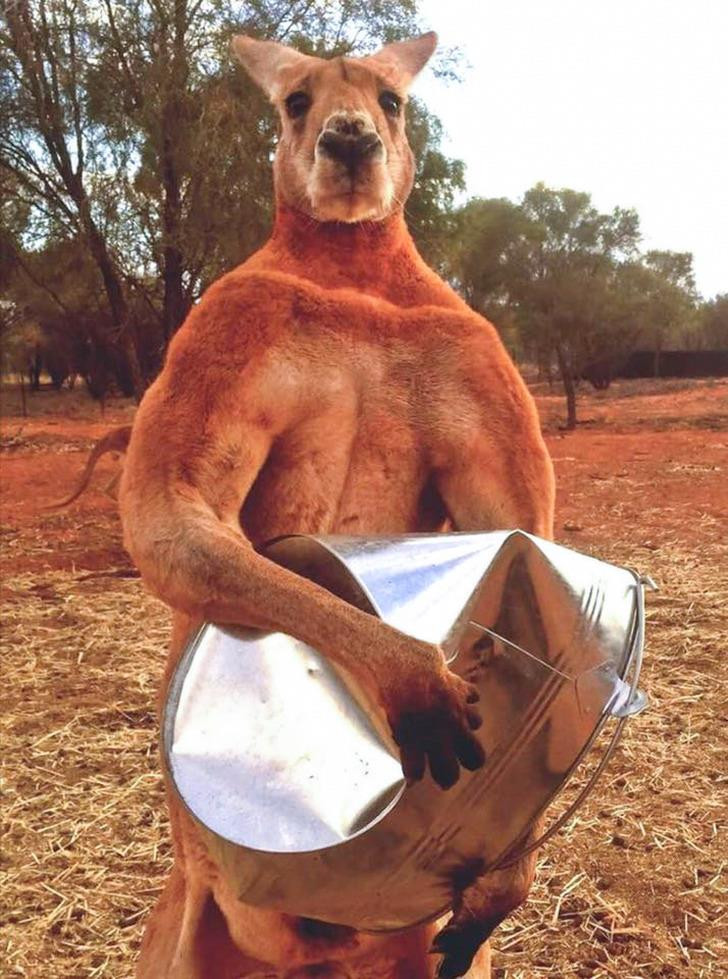 Ảnh: BrightSide Ảnh: BrightSide