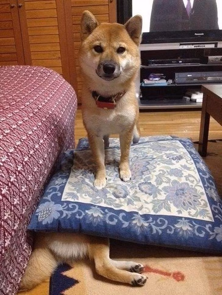 Ảnh: BrightSide Ảnh: BrightSide