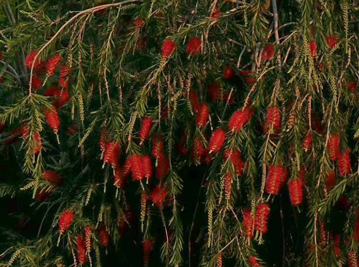 Ảnh: BrightSide Ảnh: BrightSide