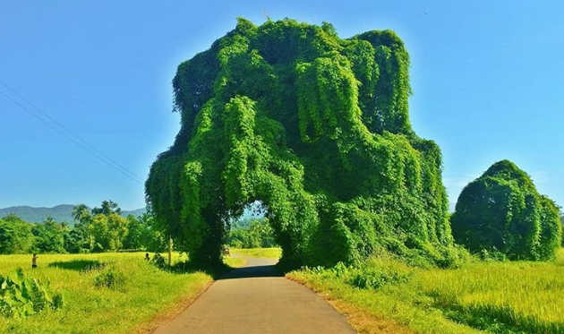 Ảnh: BrightSide Ảnh: BrightSide