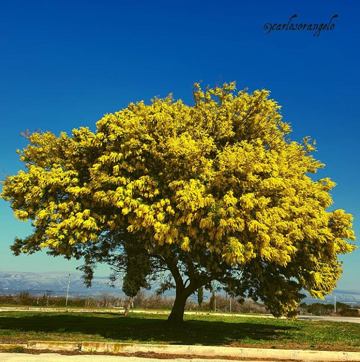 Ảnh: BrightSide Ảnh: BrightSide