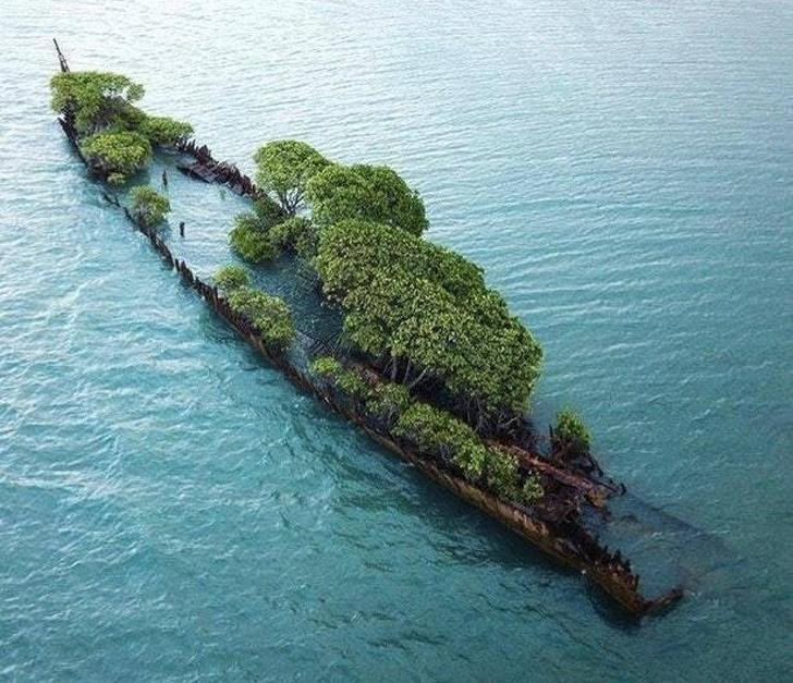 Ảnh: BrightSide Ảnh: BrightSide