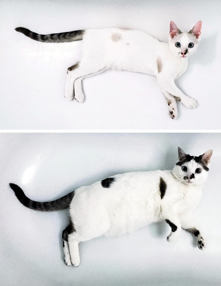 Ảnh: BrightSide Ảnh: BrightSide