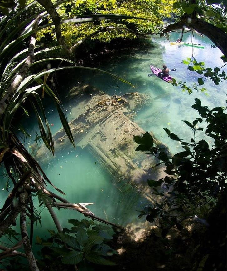 Ảnh: BrightSide Ảnh: BrightSide