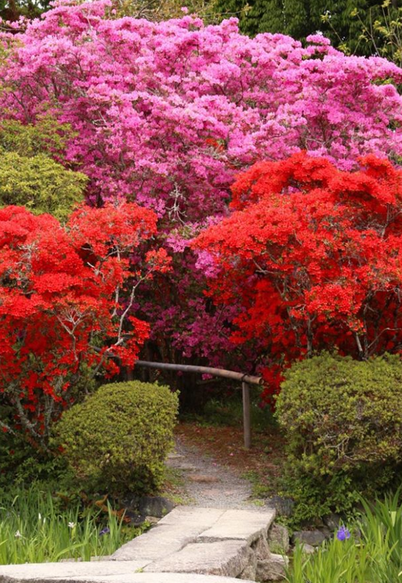 Ảnh: BrightSide Ảnh: BrightSide