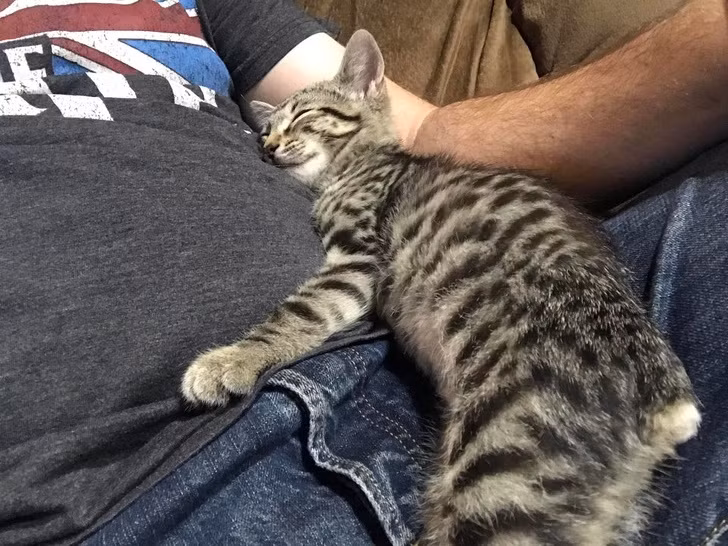 Ảnh: BrightSide Ảnh: BrightSide