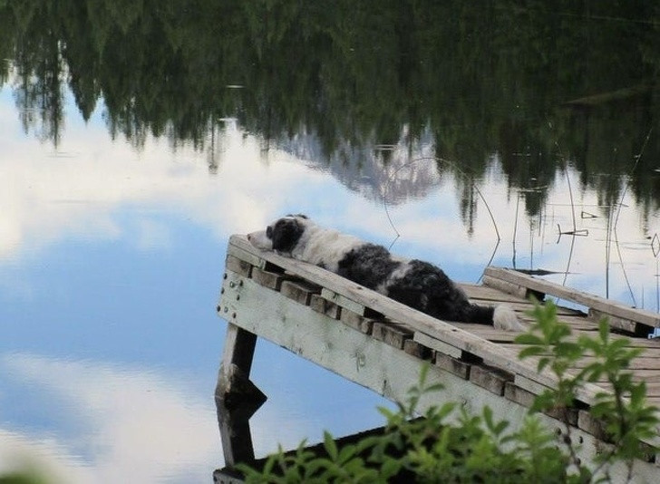 Ảnh: BrightSide Ảnh: BrightSide