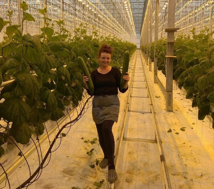 Ảnh: BrightSide Ảnh: BrightSide