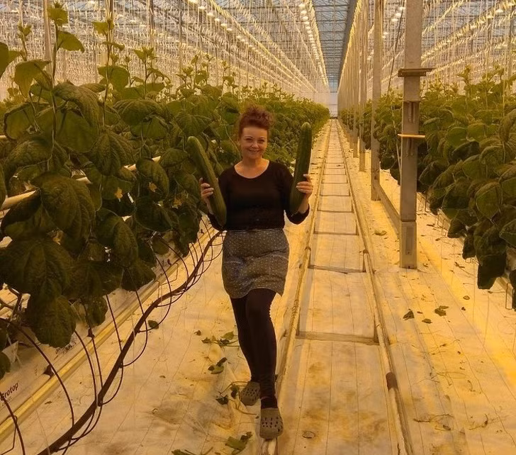 Ảnh: BrightSide Ảnh: BrightSide