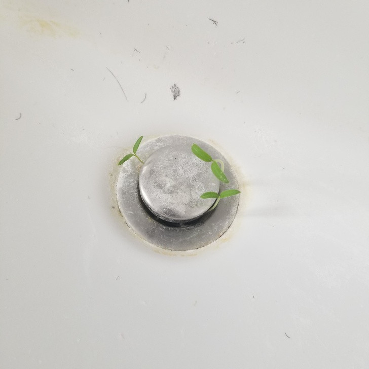 Ảnh: BrightSide Ảnh: BrightSide