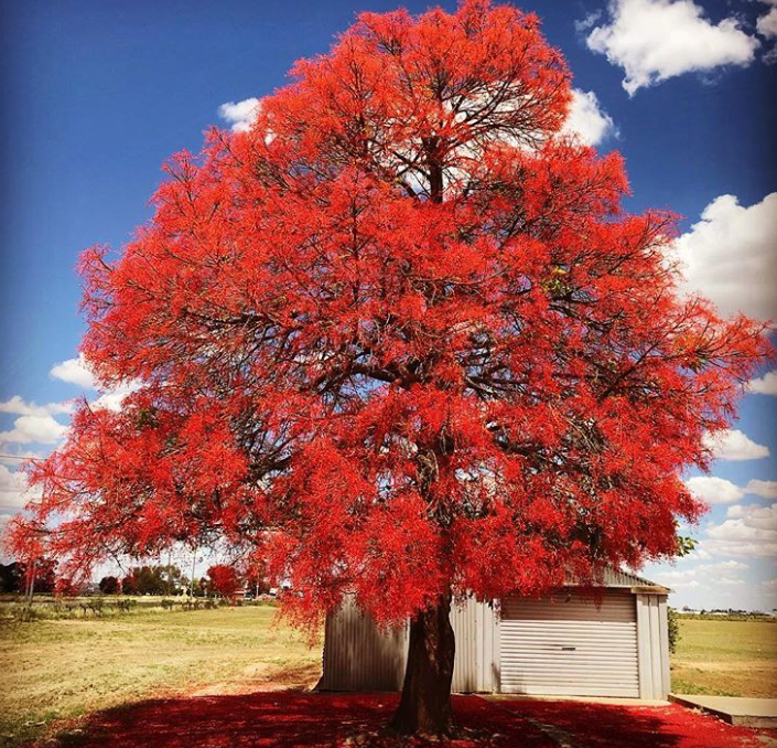 Ảnh: BrightSide Ảnh: BrightSide