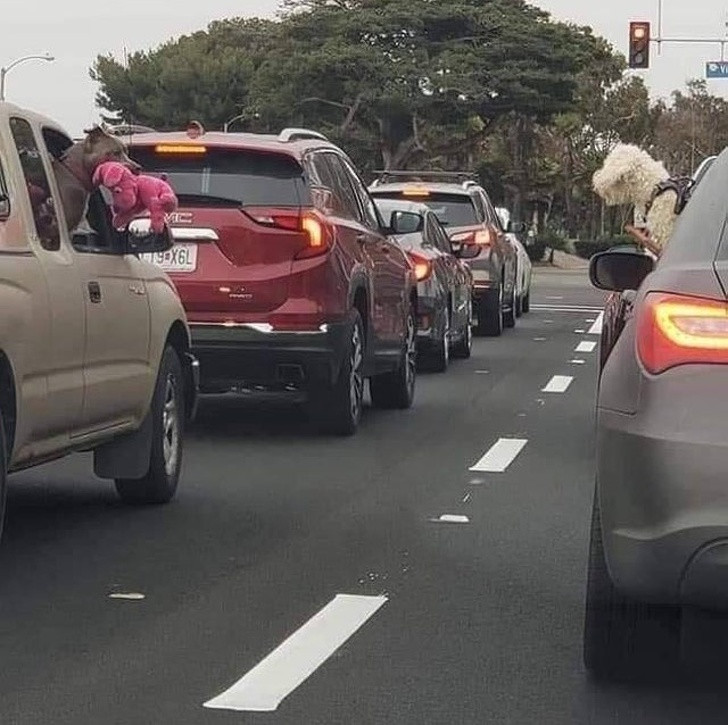 Ảnh: BrightSide Ảnh: BrightSide