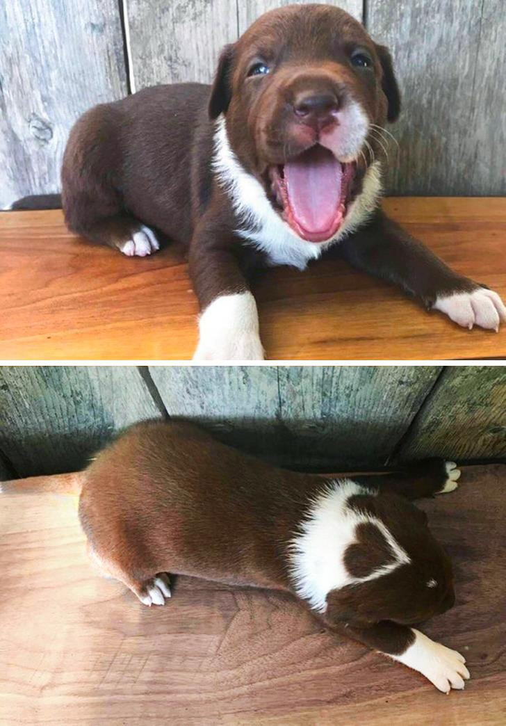 Ảnh: BrightSide Ảnh: BrightSide