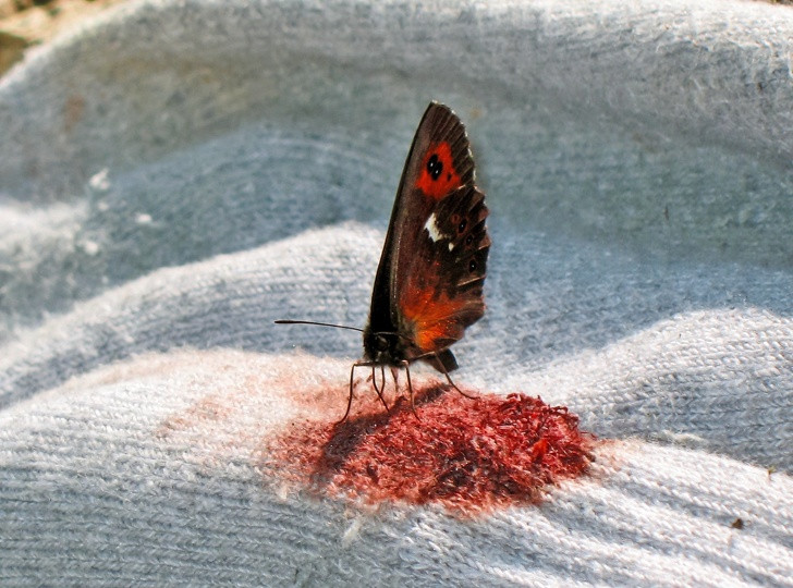 Ảnh: BrightSide Ảnh: BrightSide