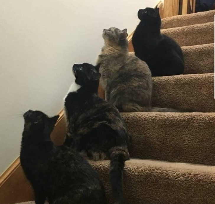 Ảnh: BrightSide Ảnh: BrightSide