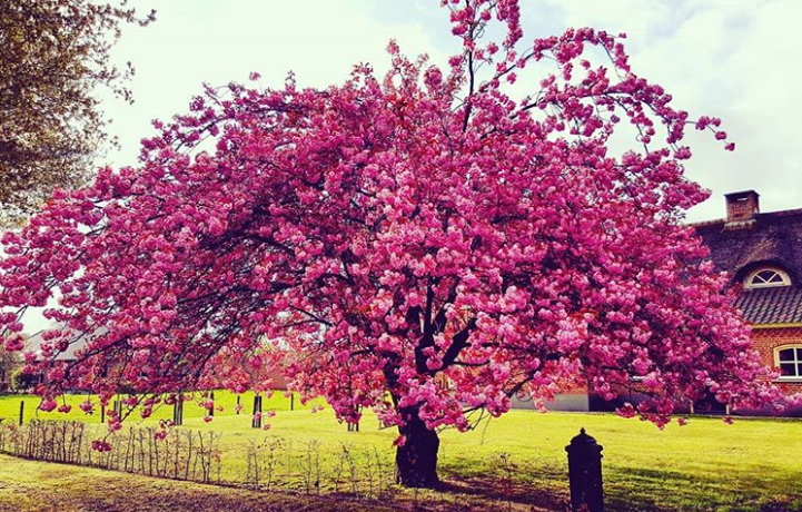 Ảnh: BrightSide Ảnh: BrightSide