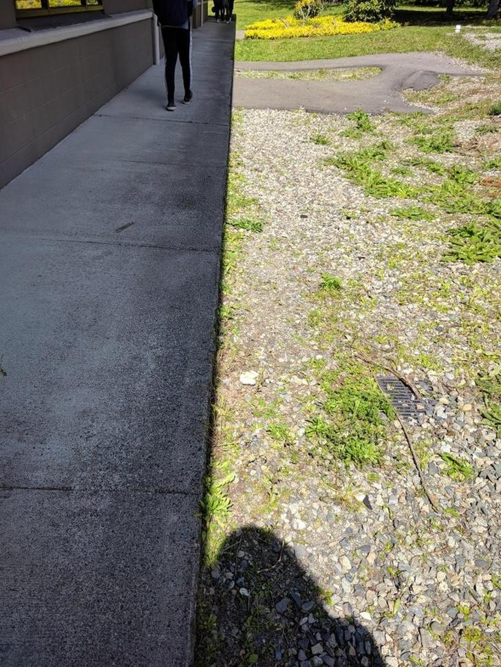 Ảnh: BrightSide Ảnh: BrightSide