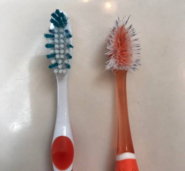 Ảnh: BrightSide Ảnh: BrightSide