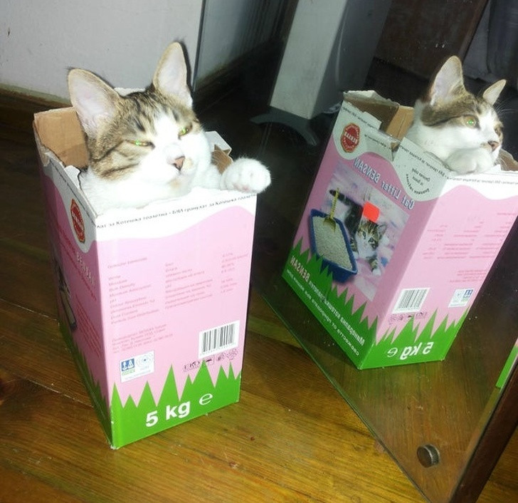 Ảnh: BrightSide Ảnh: BrightSide