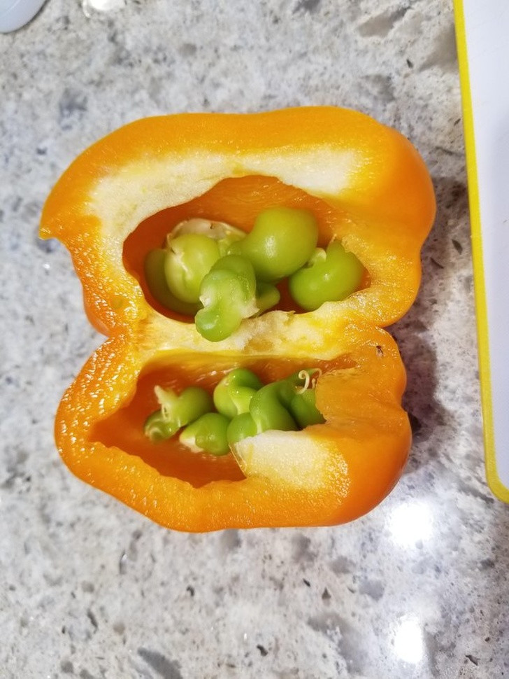 Ảnh: BrightSide Ảnh: BrightSide