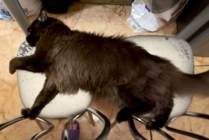 Ảnh: BrightSide Ảnh: BrightSide