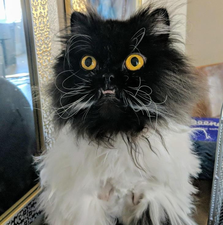 Ảnh: BrightSide Ảnh: BrightSide