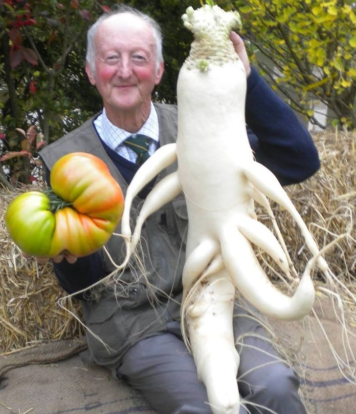 Ảnh: BrightSide Ảnh: BrightSide