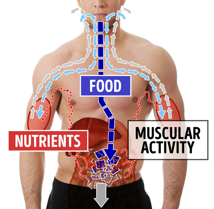 Ảnh: BrightSide Ảnh: BrightSide