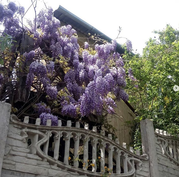 Ảnh: BrightSide Ảnh: BrightSide