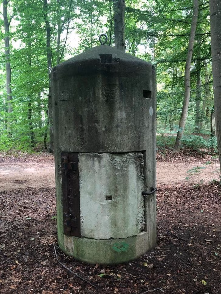 Ảnh: BrightSide Ảnh: BrightSide