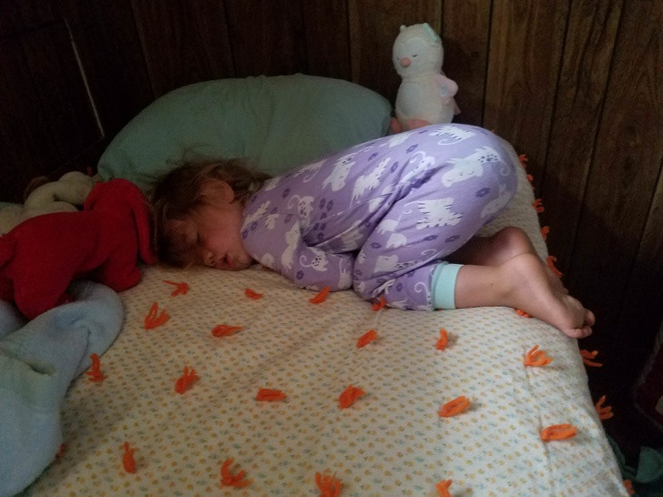 Ảnh: BrightSide Ảnh: BrightSide