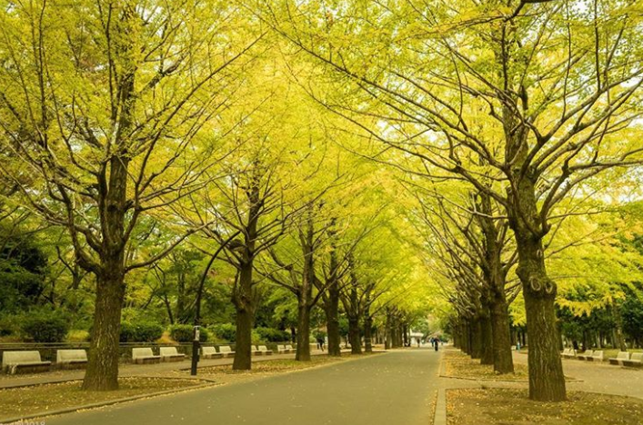 Ảnh: BrightSide Ảnh: BrightSide