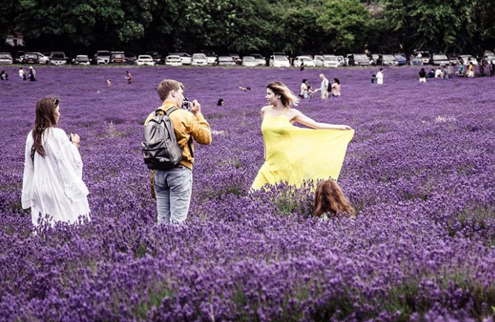 Ảnh: BrightSide Ảnh: BrightSide