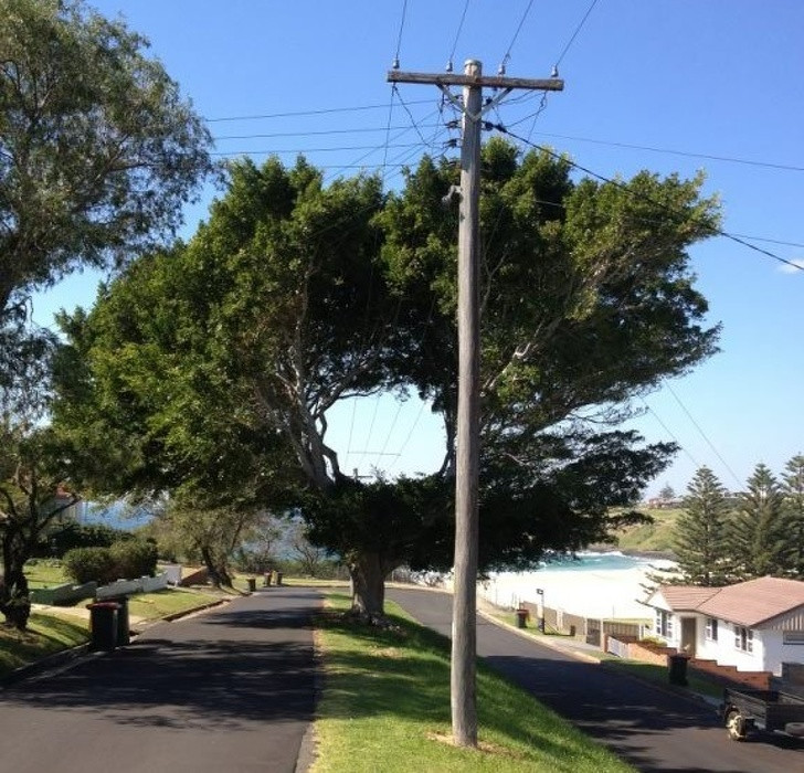 Ảnh: BrightSide Ảnh: BrightSide