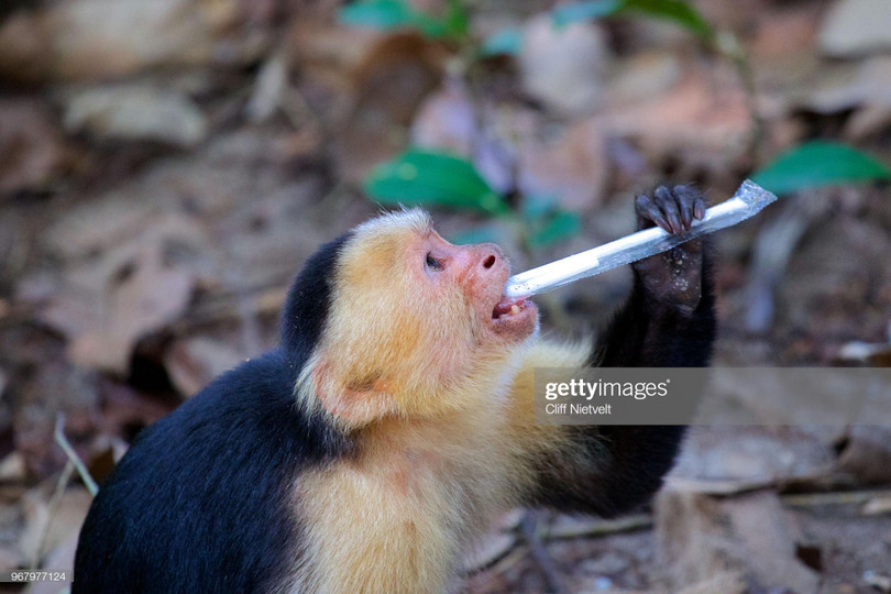 Ảnh: BrightSide Ảnh: BrightSide