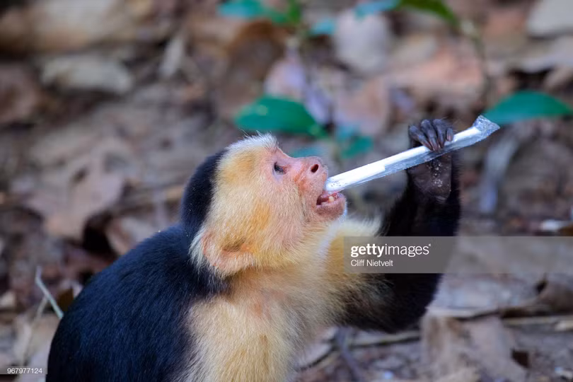 Ảnh: BrightSide Ảnh: BrightSide